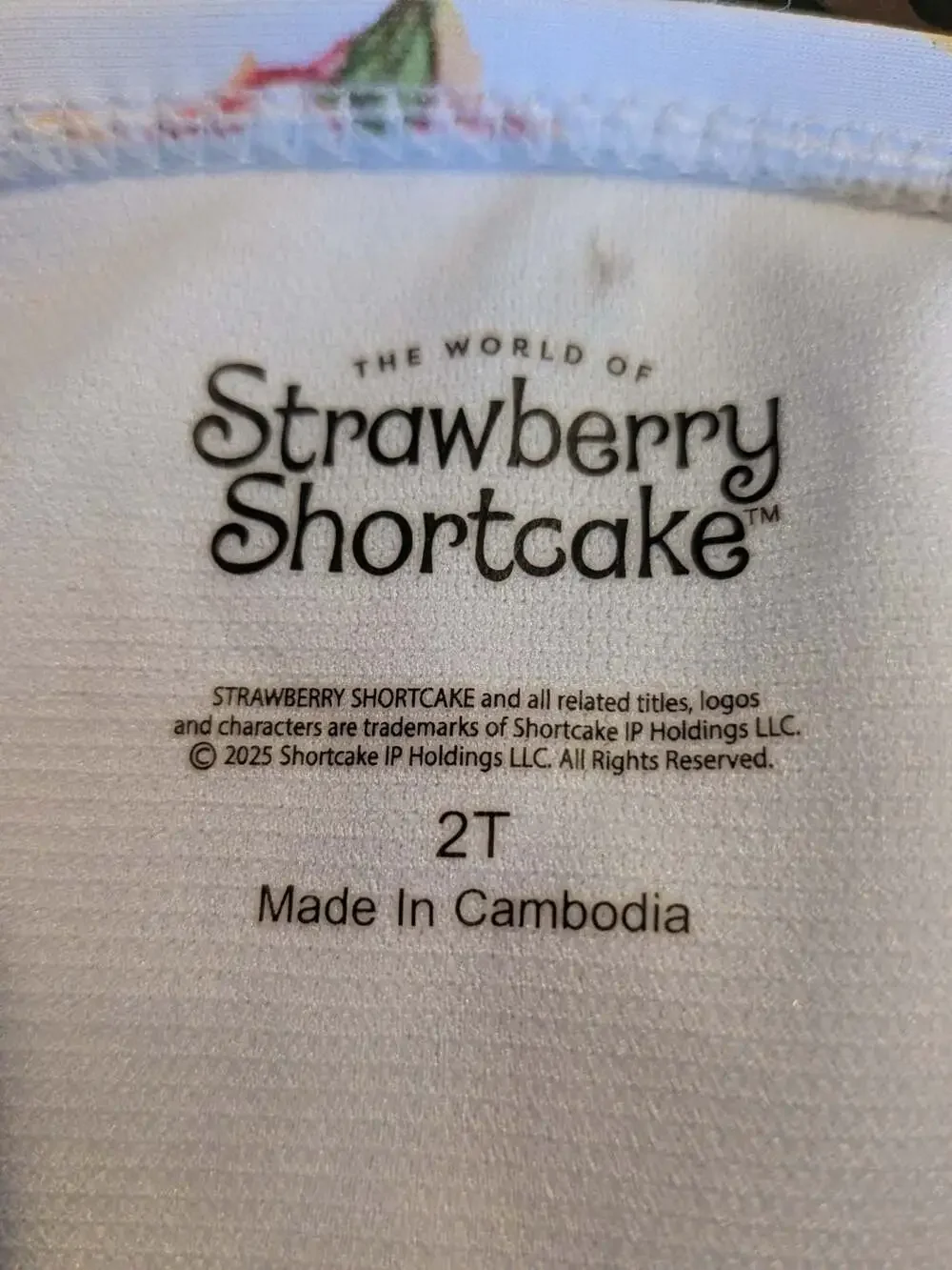 Strawberry Shortcake Toddler Girl Puff-Sleeve One-Piece Swimsuit Size 2T